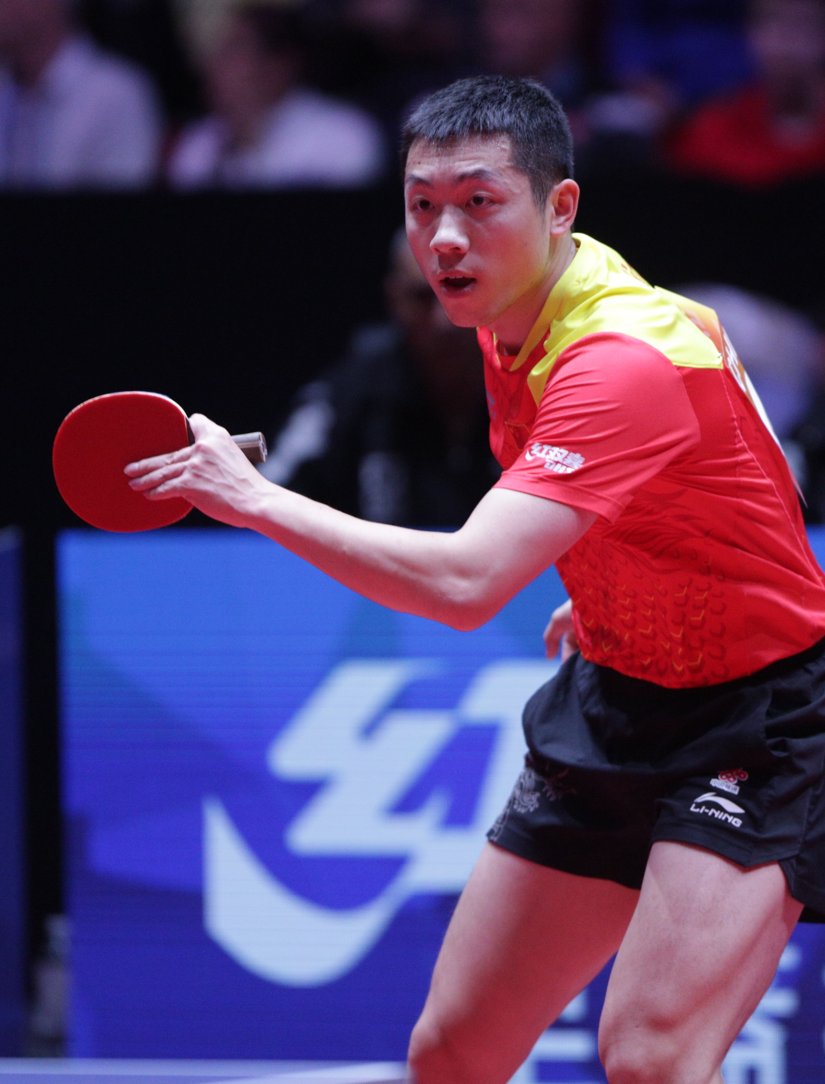 波兰乒乓球队完胜法国乒乓球队，许昕高光表现