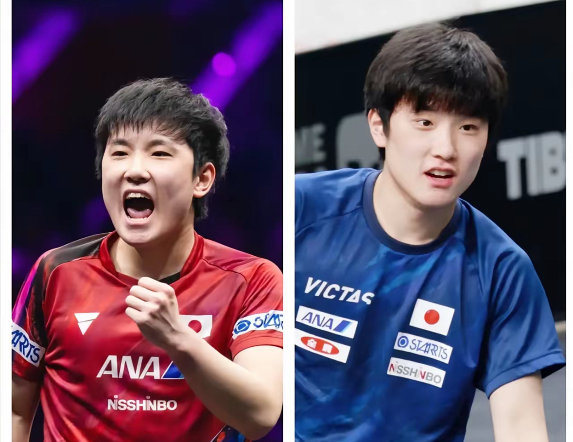 德国队轻取波兰队，张本智和带队取胜的简单介绍