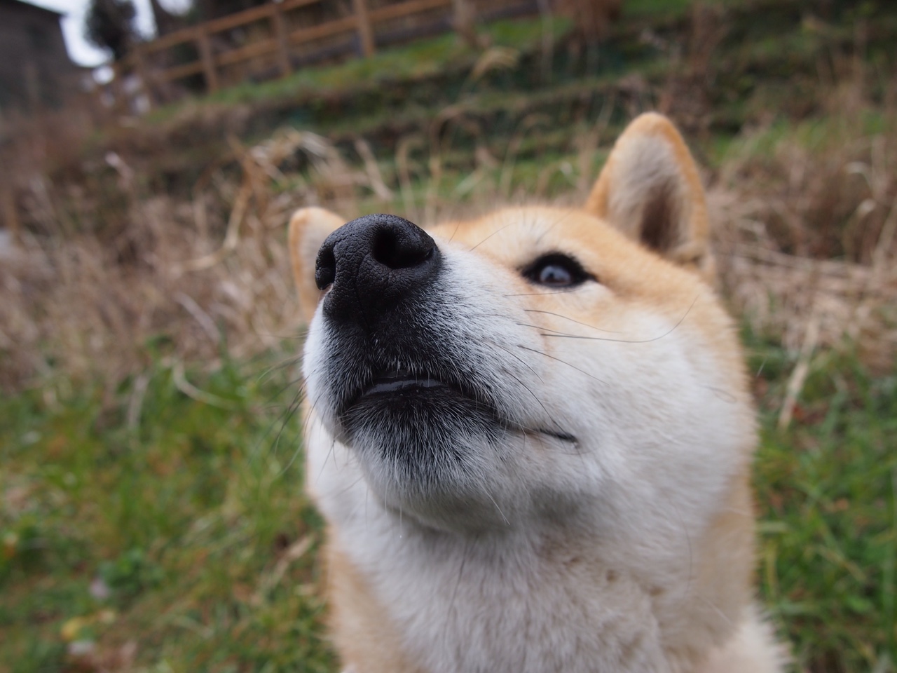 罗马碾压勒沃库森，德布劳内高光表现，平行时空的统治力
