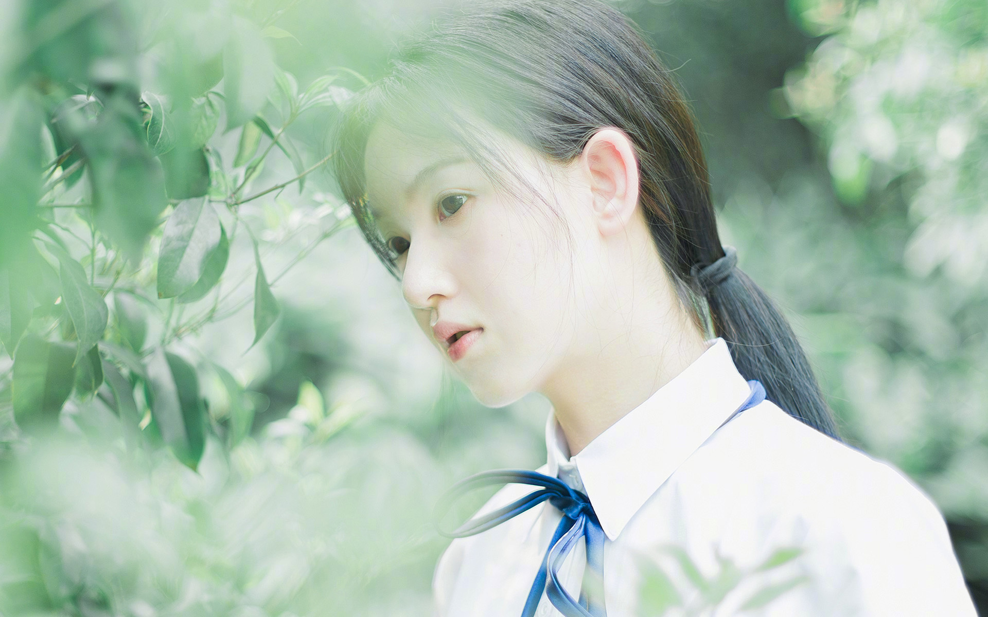 王者风范，双雄对话成凯尔特人加冕典礼，一场稳如泰山的联盟第一争夺战