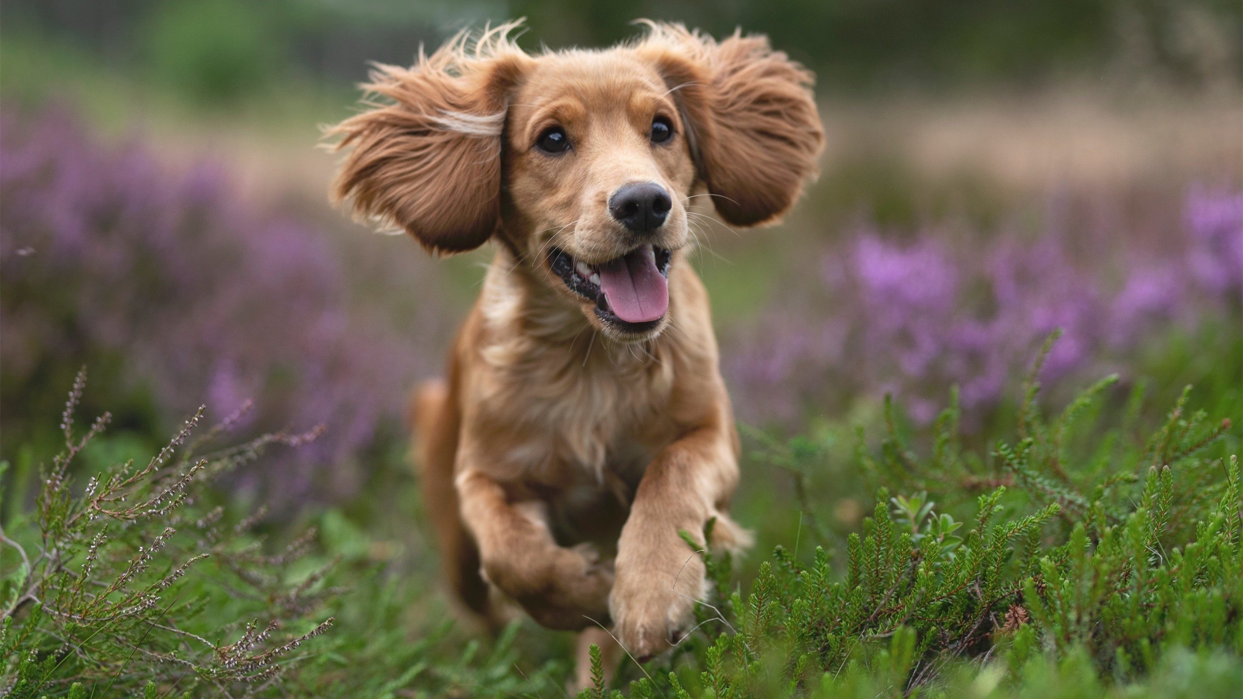 拉文单骑救主!马刺加时鏖战靠致命封喉绝杀步行者