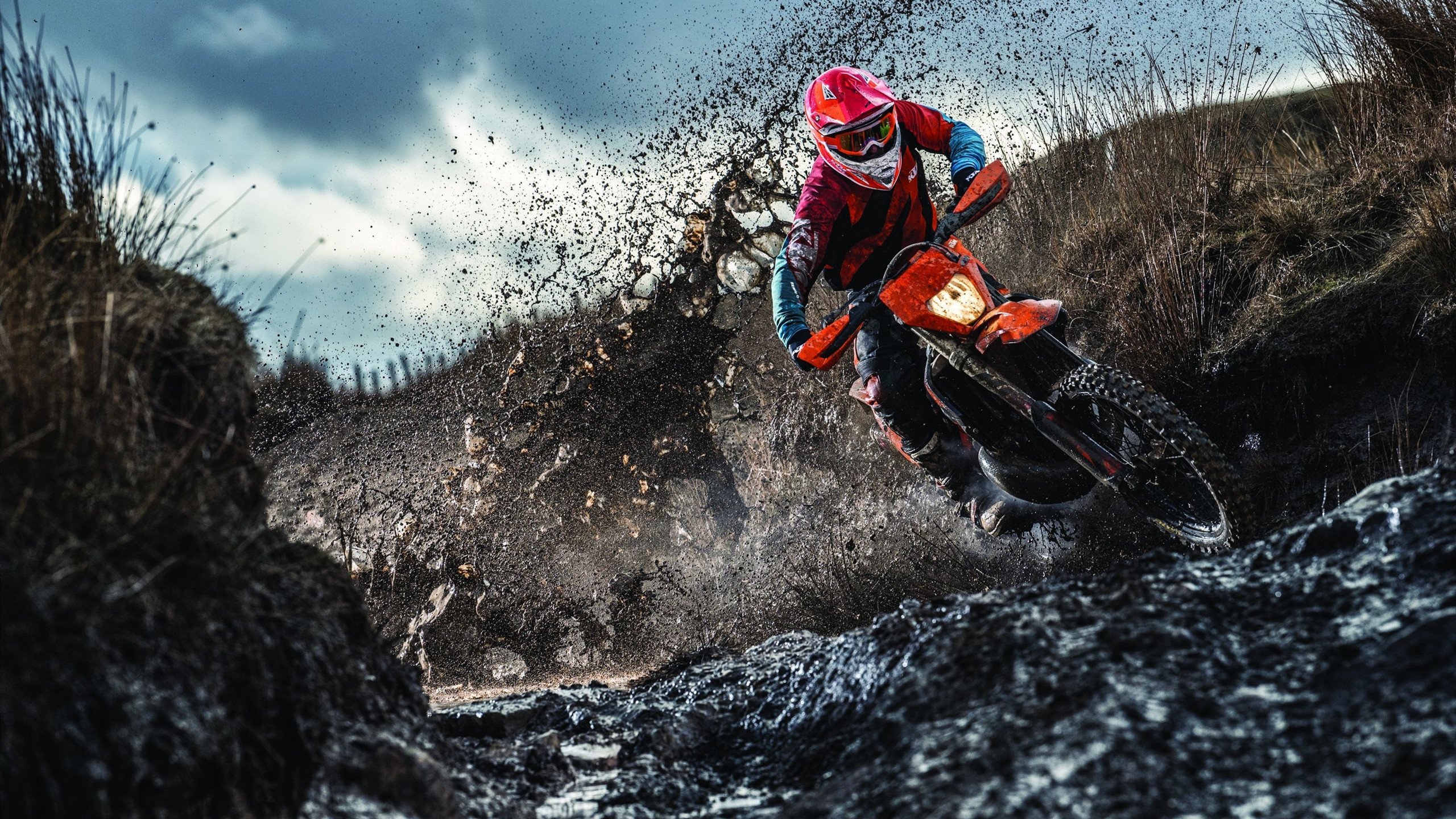 灰熊用暴力篮球破解数据迷信！戈贝尔掌控全场成最强破壁人