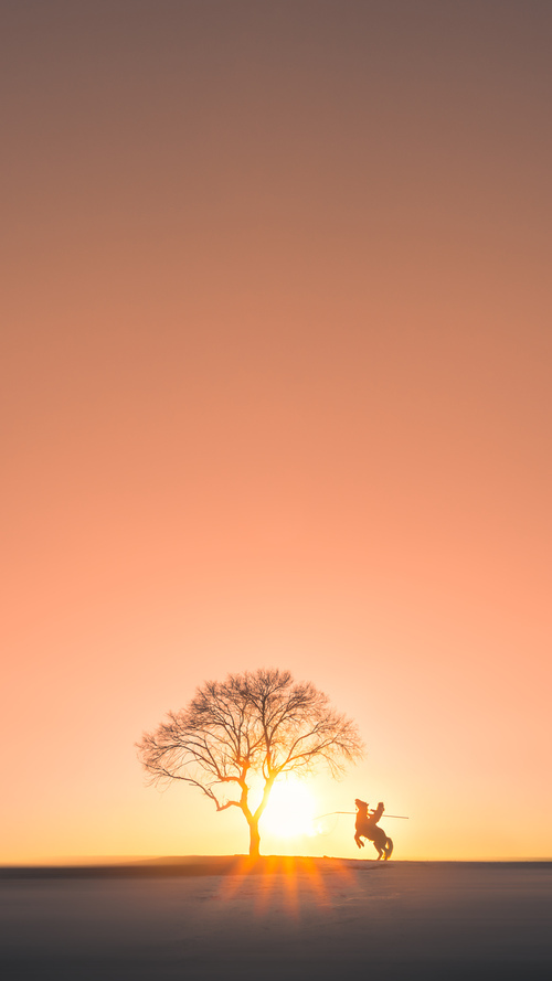 战袍呼啸处,当北境极光与撒哈拉热浪碰撞,努涅斯末节惊雷接管比赛