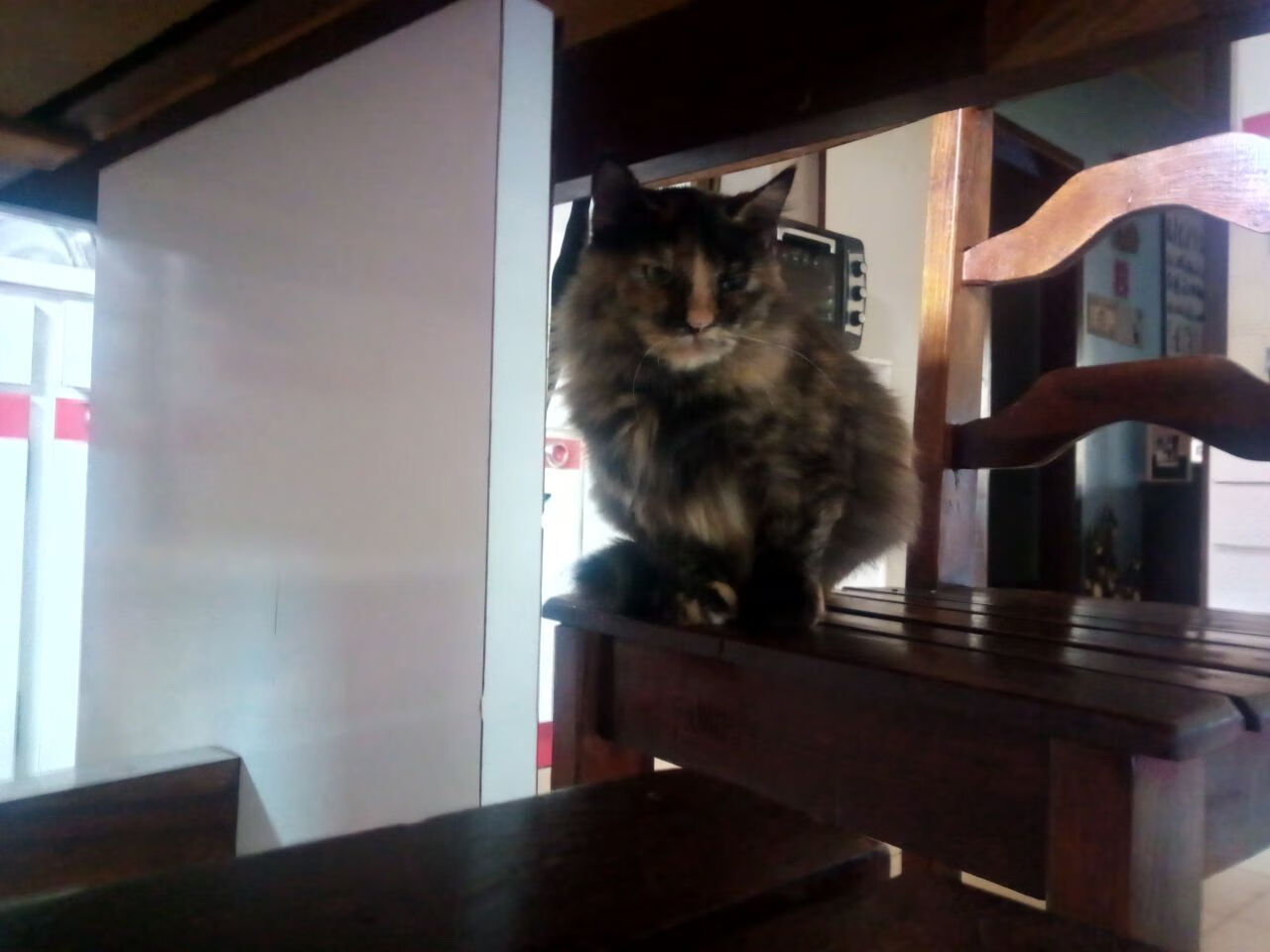 开云体育平台APP-经典与新篇，莫德里奇掌控的黄昏，丹麦燃起的逆袭黎明