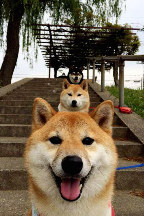 当单骑救主遇见终极团队,杰伦格林爆发之夜,辽宁如何以东方智慧击穿篮网