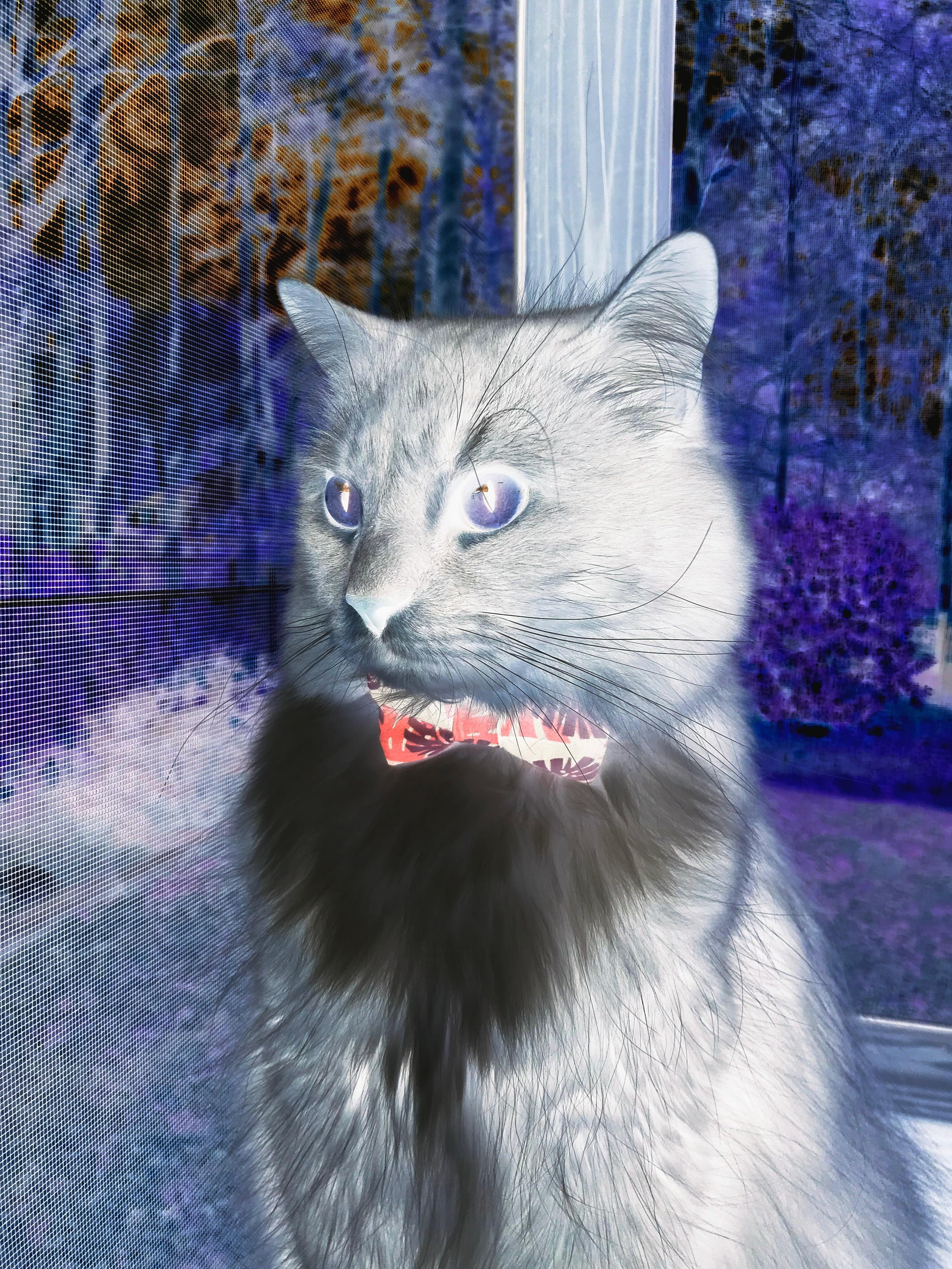 哈弗茨一锤定音！西班牙关键战突围委内瑞拉，他成决胜先生