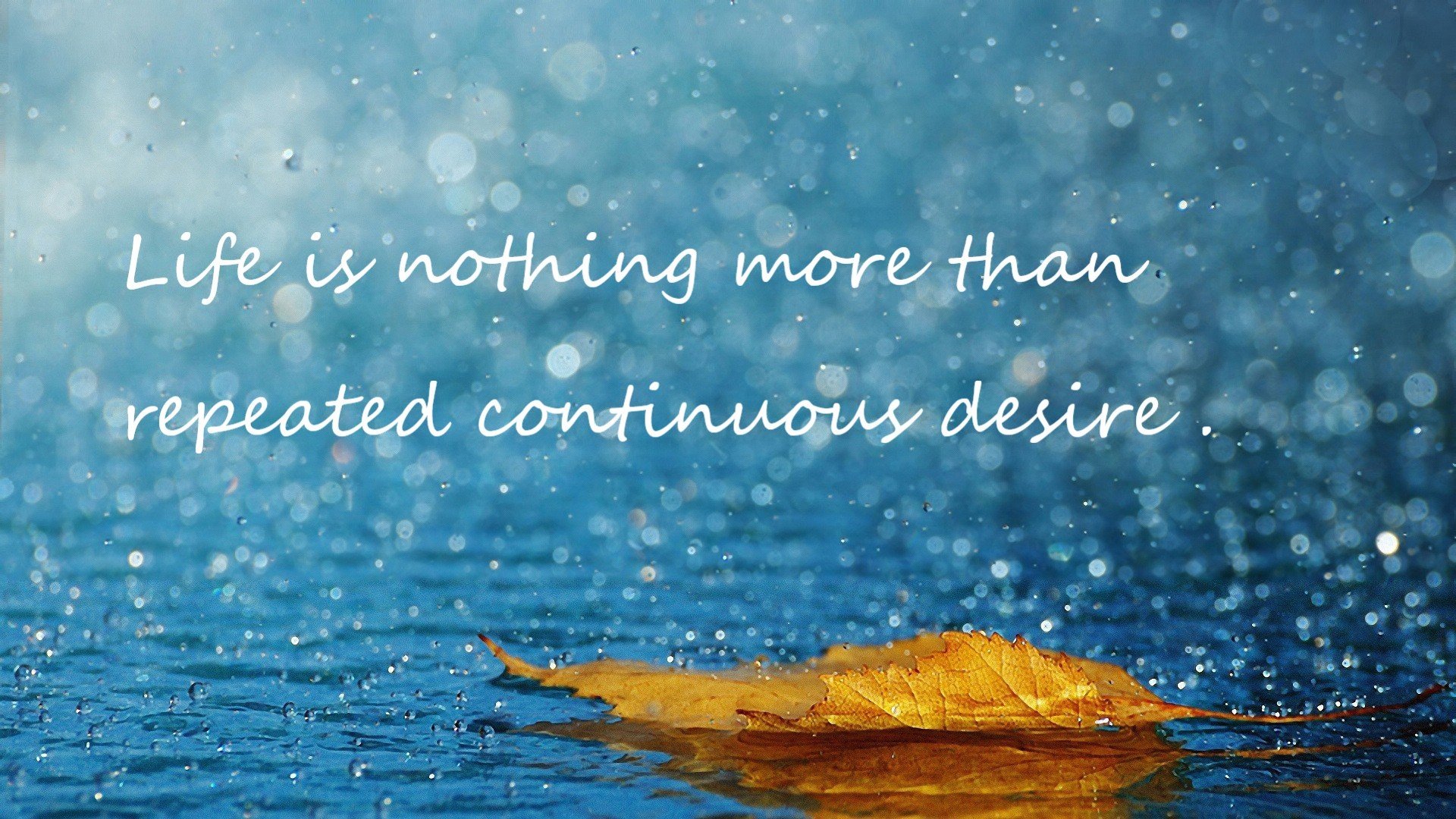 佩德里的主宰时刻，威尔士鏖战日本的年度焦点之战