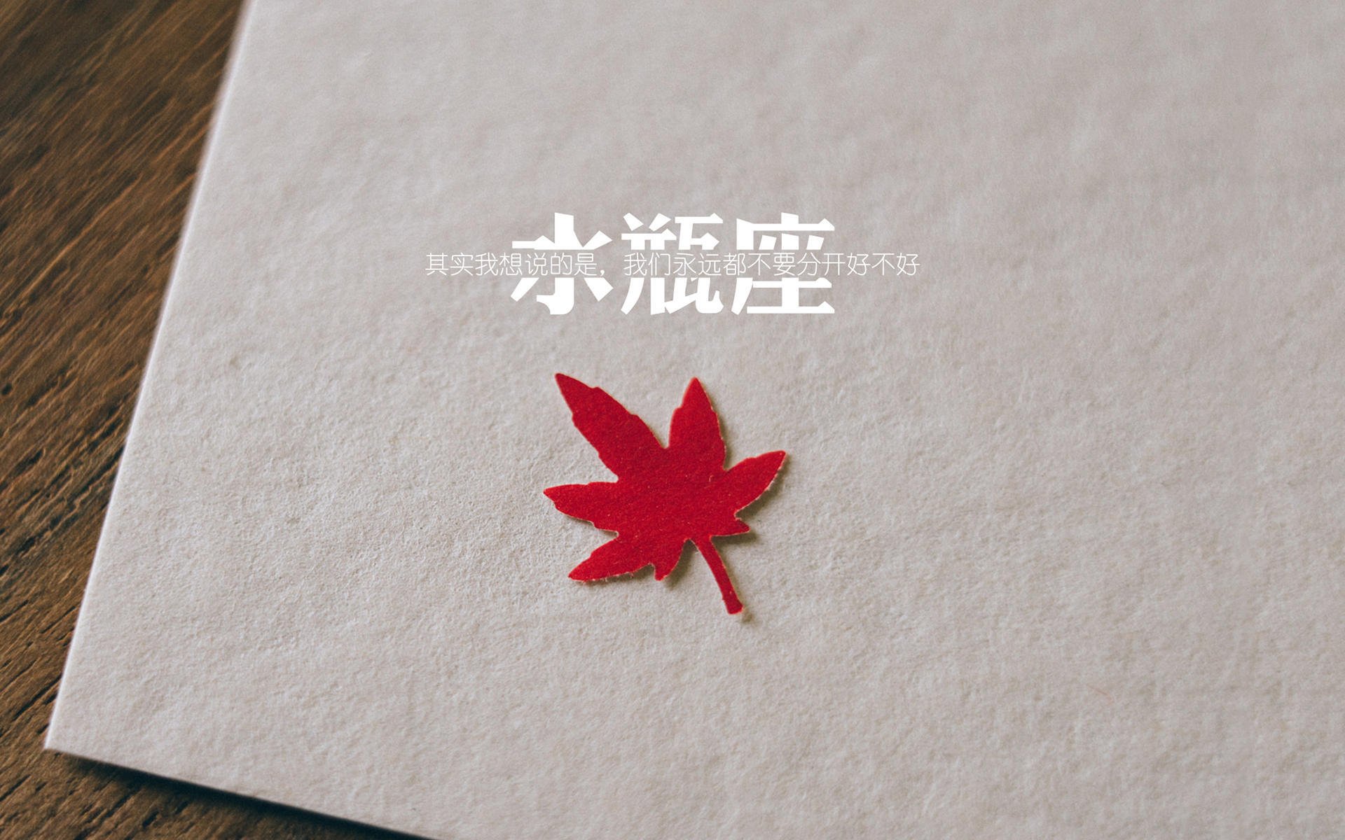 绿茵沙场上的唯一瞬间，美加墨世界杯焦点战，乌拉圭险胜摩洛哥，维尼修斯独舞星光