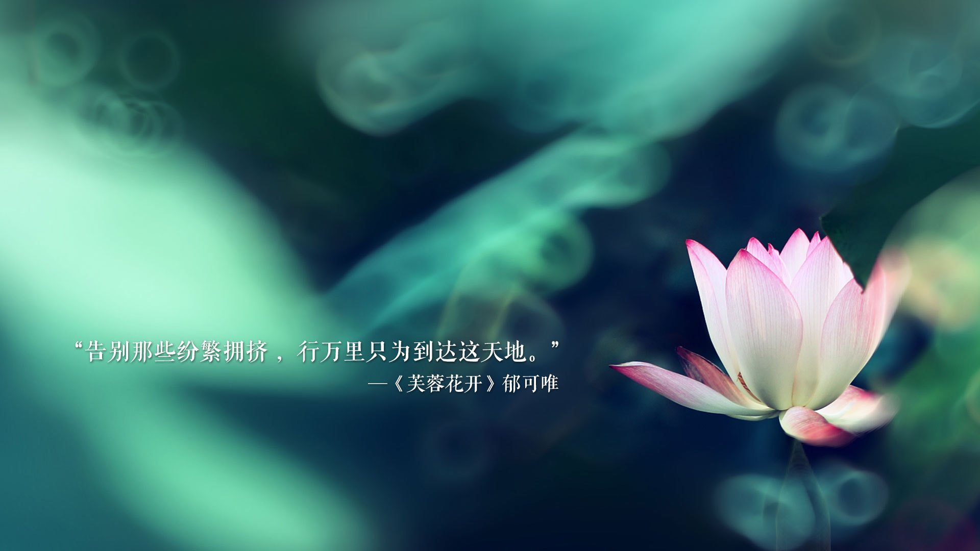 2026世界杯E组强强对话，泰国完胜加纳，德容闪耀全场，对抗强硬彰显亚洲崛起