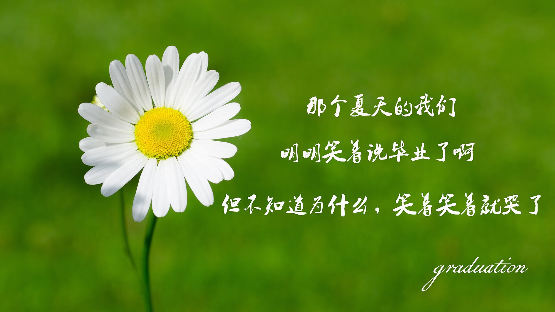 维也纳的复仇，2026世界杯，奥地利用一场完胜宣告王者归来，萨卡闪耀全场