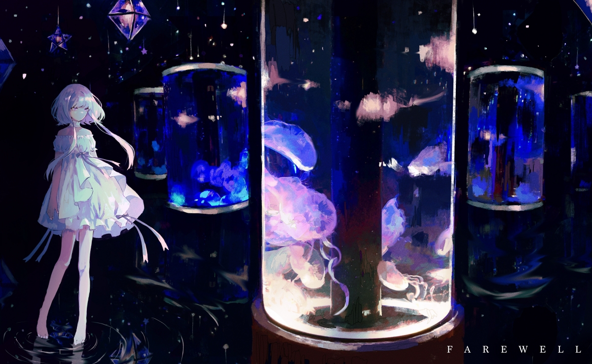 孤星与狼群，当莱万的影子笼罩2026世界杯C组暗夜